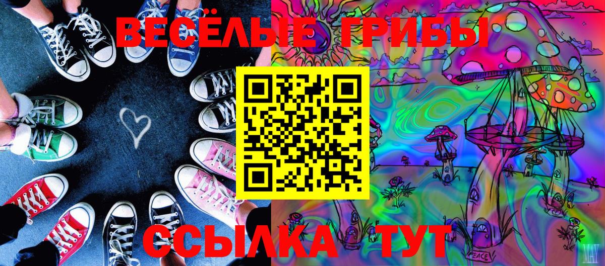 Россошь  купить  сайты  Вход с VPN  Галлюциногенные грибы мухоморы 